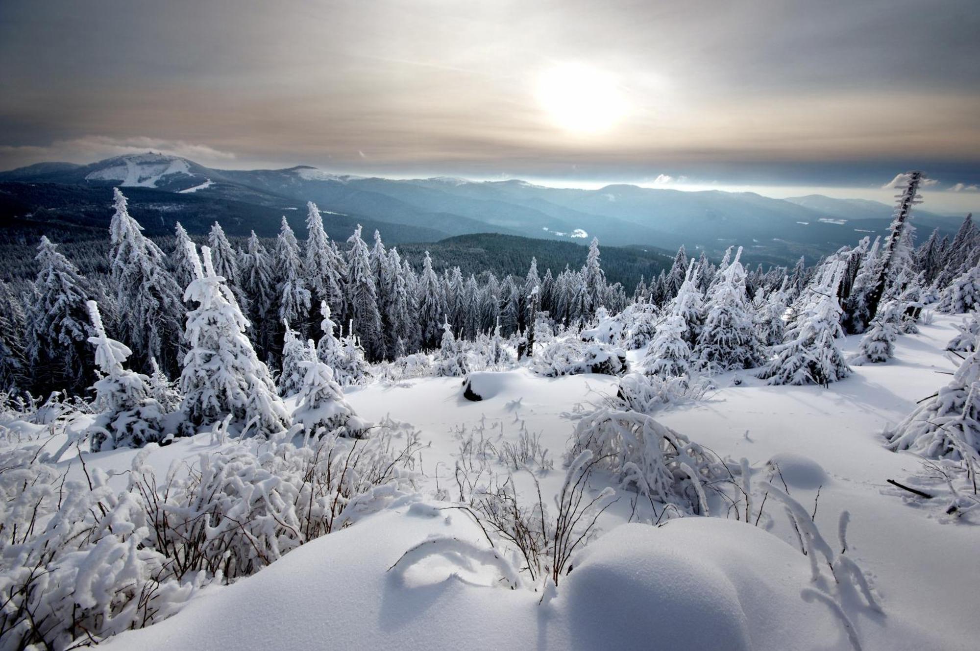 Sonnenhof Resort Bayerischer Wald Lam Ngoại thất bức ảnh