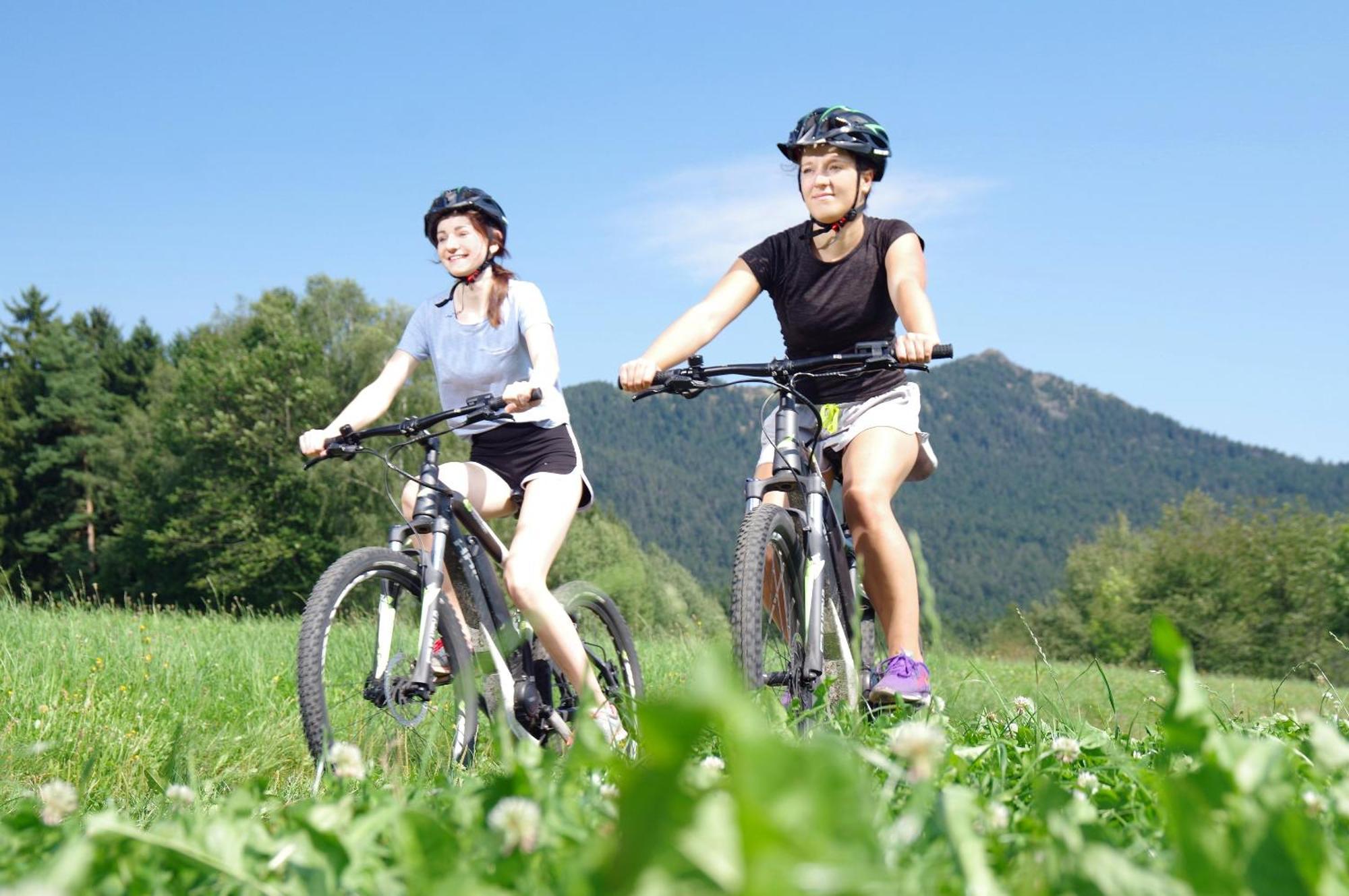Sonnenhof Resort Bayerischer Wald Lam Ngoại thất bức ảnh