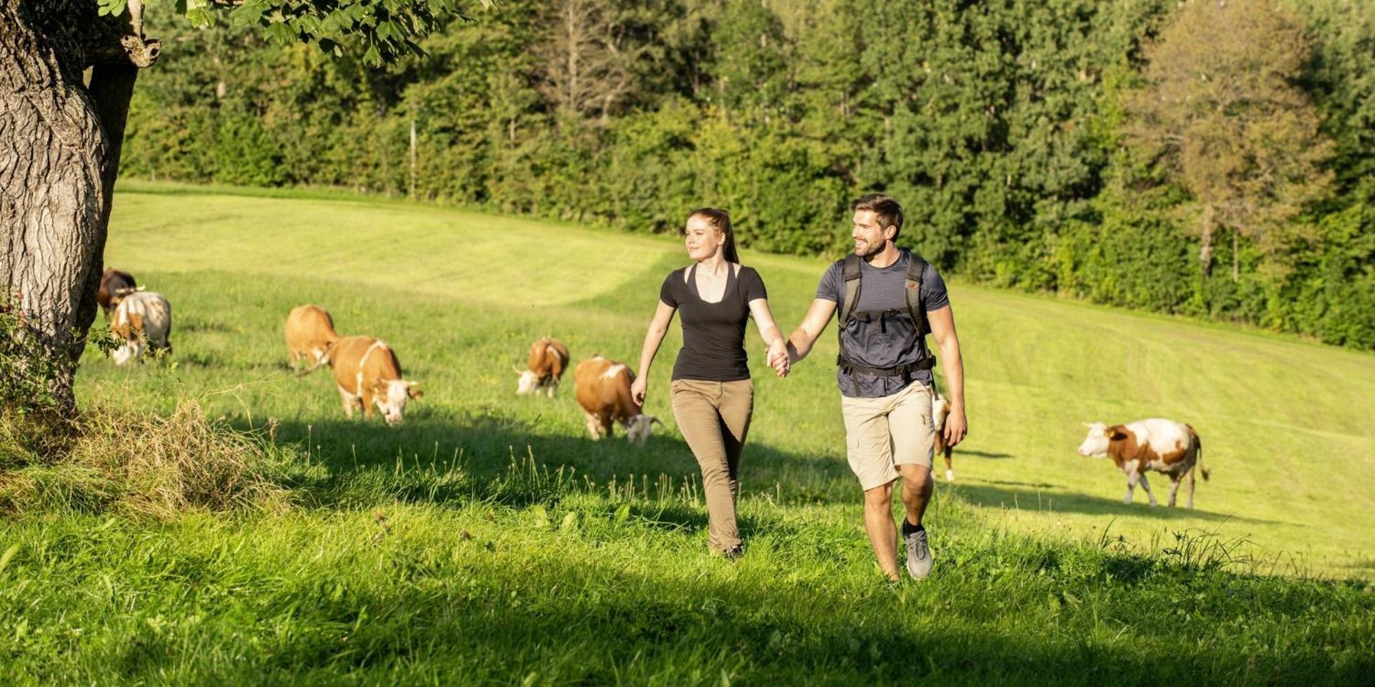 Sonnenhof Resort Bayerischer Wald Lam Ngoại thất bức ảnh